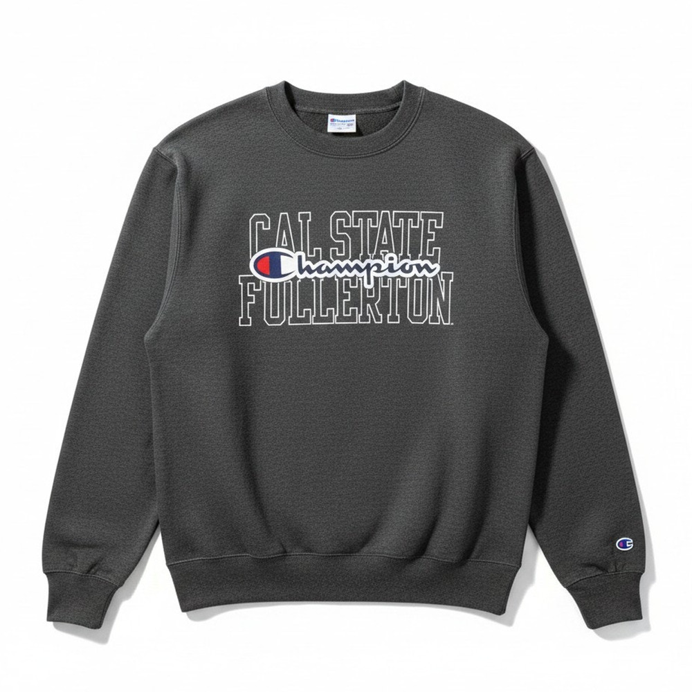 Vintage Y2K Champion Men's Small Cal State Fullerton Crewneck Sweatshirt College